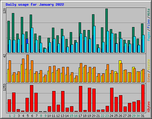 Daily usage for January 2022