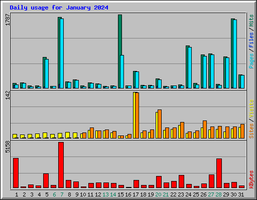 Daily usage for January 2024