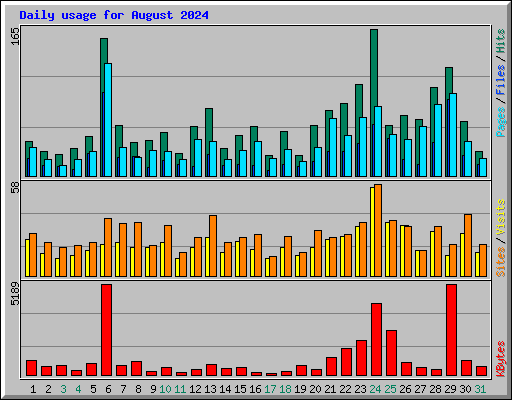 Daily usage for August 2024