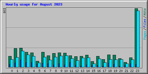 Hourly usage for August 2023