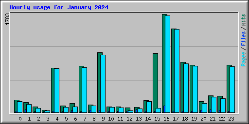 Hourly usage for January 2024