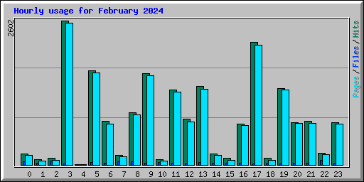 Hourly usage for February 2024