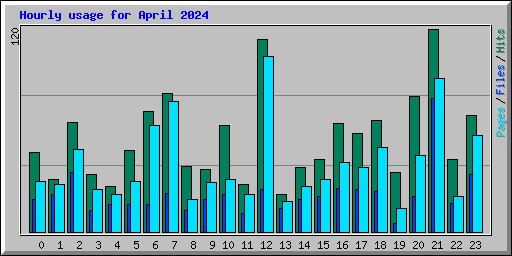 Hourly usage for April 2024