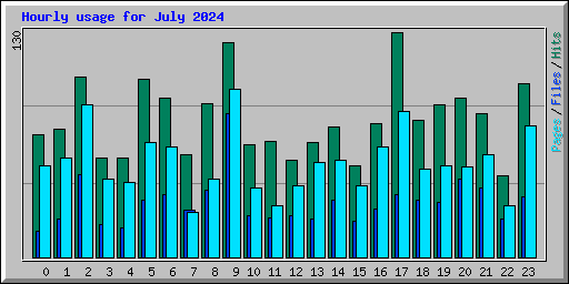 Hourly usage for July 2024